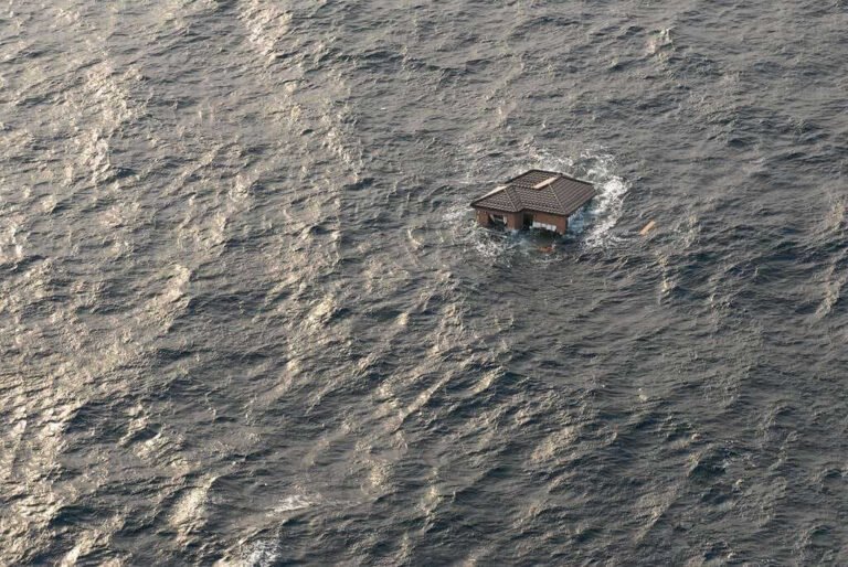 Japan's Earthquake - The Insurance Reporter