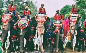 Elephants Mysuru: The Insurance Reporter.