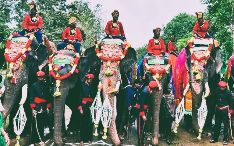 Elephants Mysuru: The Insurance Reporter.