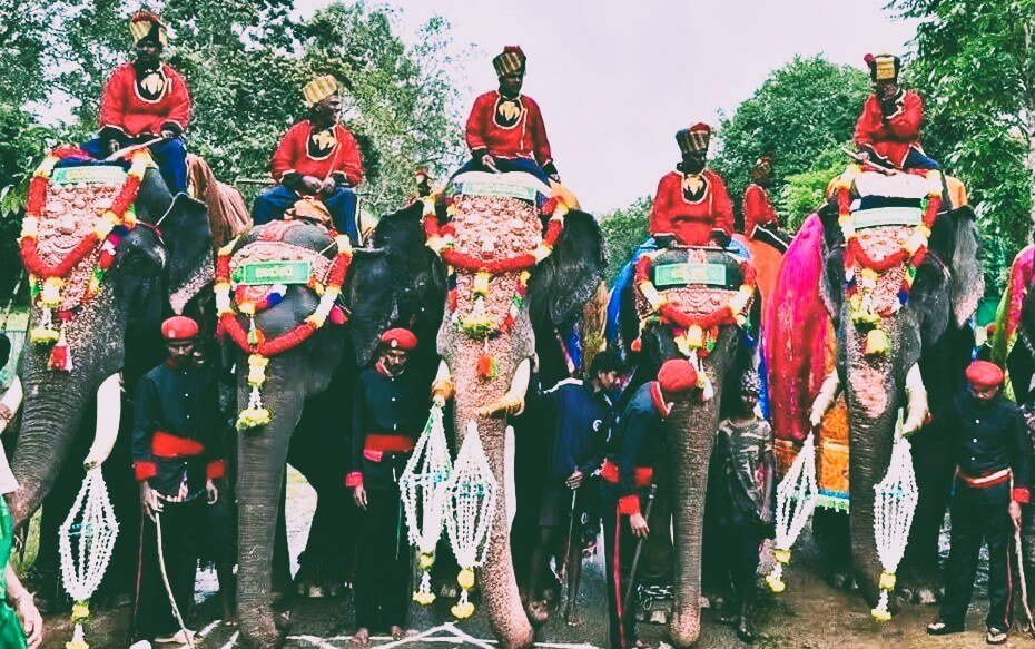 Elephants Mysuru: The Insurance Reporter.