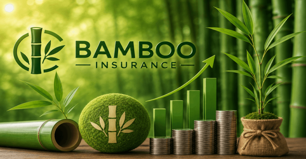 Bamboo Insurance: The Insurance Reporter