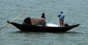 Bengal Fishers: The Insurance Reporter