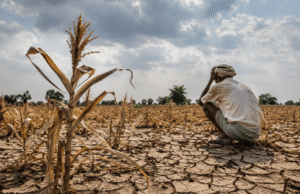 Crop Insurance: The Insurance Reporter