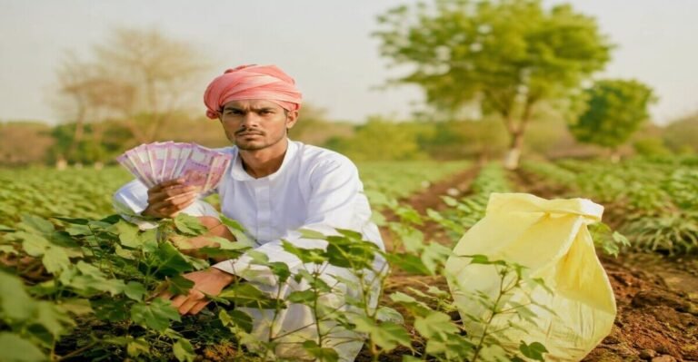 Crop Insurance Claim: The Insurance Reporter
